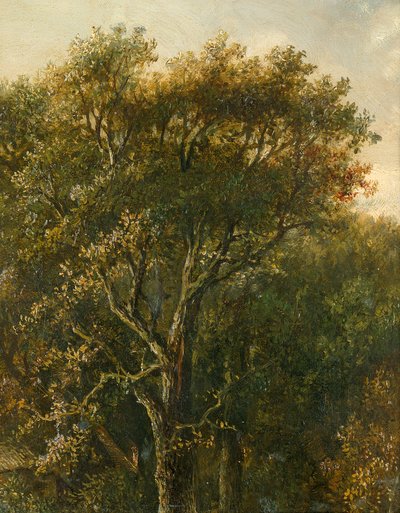 Bosstuk met eikenboom door Carl Gustav Carus